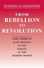 From Rebellion to Revolution: Afro-American Slave Revolts in the Making of the Modern World / Edition 1