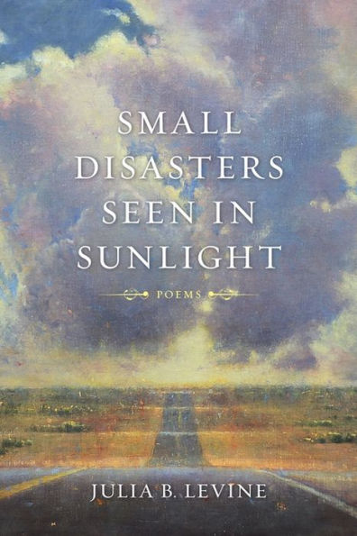 Small Disasters Seen Sunlight: Poems