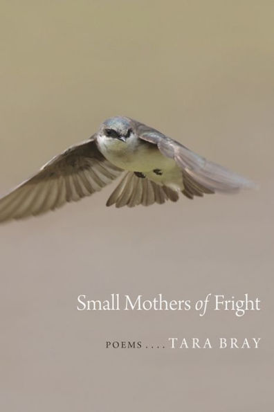 Small Mothers of Fright: Poems
