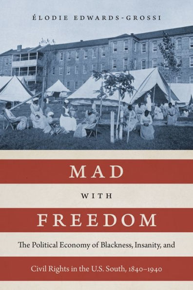 Mad with Freedom: the Political Economy of Blackness, Insanity, and Civil Rights U.S. South, 1840-1940