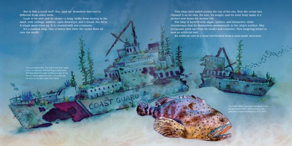 Shipwreck Reefs