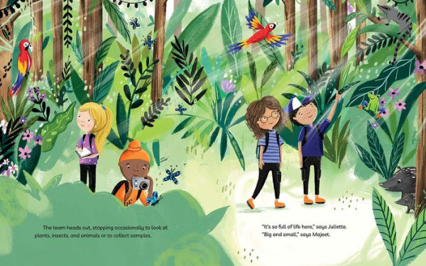 Insect Experts the Rain Forest