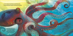 Alternative view 2 of Octopus Acrobatics