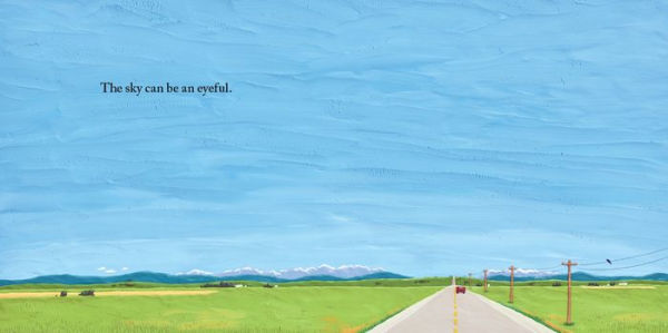 Picture the Sky