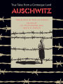 Auschwitz: True Tales From a Grotesque Land