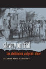 Slavery on Trial: Law, Abolitionism, and Print Culture