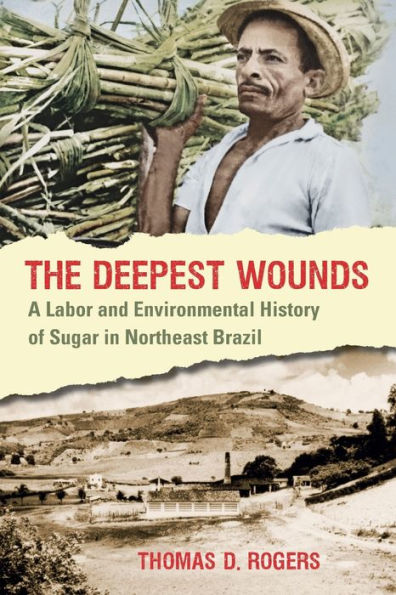 The Deepest Wounds: A Labor and Environmental History of Sugar in Northeast Brazil / Edition 1