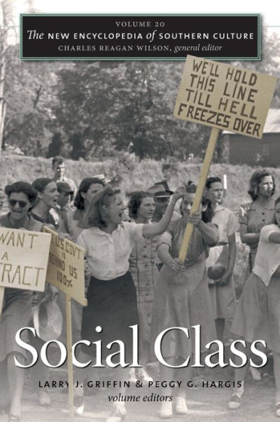 The New Encyclopedia of Southern Culture: Volume 20: Social Class