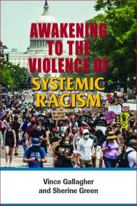 Free computer books download Awakening to the Violence of Systemic Racism by  9780809155668