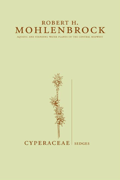 Cyperaceae: Sedges