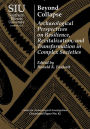 Beyond Collapse: Archaeological Perspectives on Resilience, Revitalization, and Transformation in Complex Societies