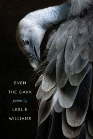 Title: Even the Dark, Author: Leslie Williams