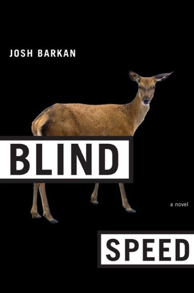 Blind Speed: A Novel