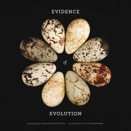 Title: Evidence of Evolution, Author: Mary Ellen Hannibal