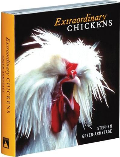 Extraordinary Chickens