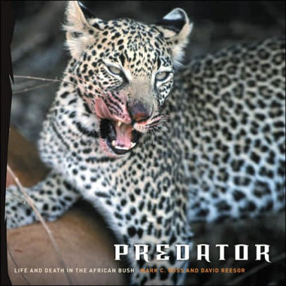 Predator Life And Death In The African Bush
