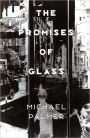 The Promises of Glass: Poems