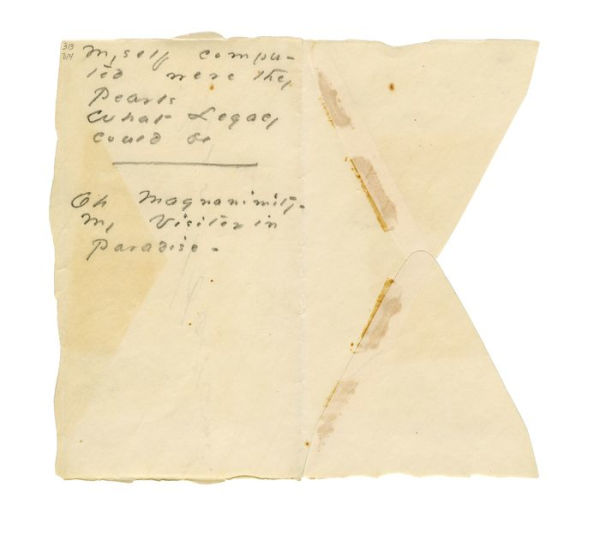 The Gorgeous Nothings: Emily Dickinson's Envelope Poems