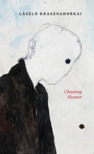 Free french e-books downloads Chasing Homer 9780811227971 FB2 CHM English version