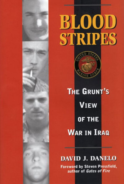Blood Stripes: The Grunt's View of the War in Iraq