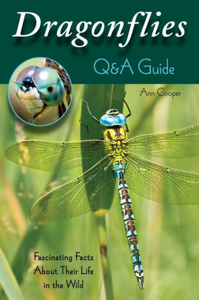 Dragonflies: Q&A Guide: Fascinating Facts About Their Life the Wild