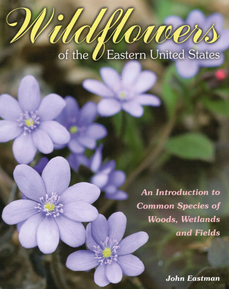 Wildflowers of the Eastern United States: An Introduction to Common Species Woods, Wetlands and Fields