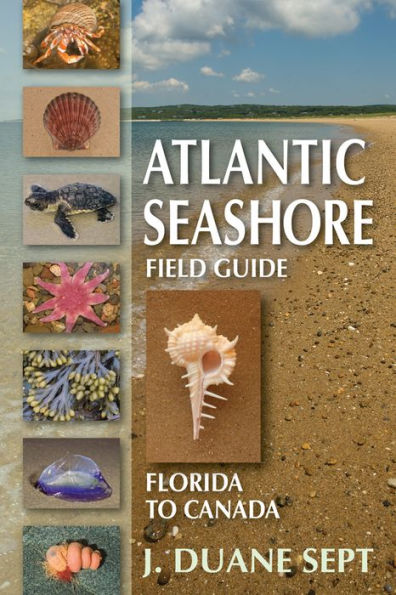Atlantic Seashore Field Guide: Florida to Canada