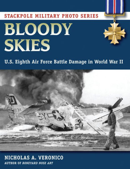 Bloody Skies: U.S. Eighth Air Force Battle Damage World War II