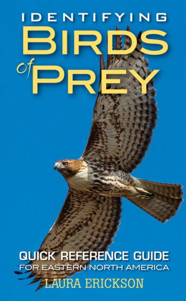 Identifying Birds of Prey: Quick Reference Guide for Eastern North America