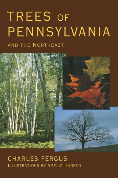 Trees of Pennsylvania: and the Northeast