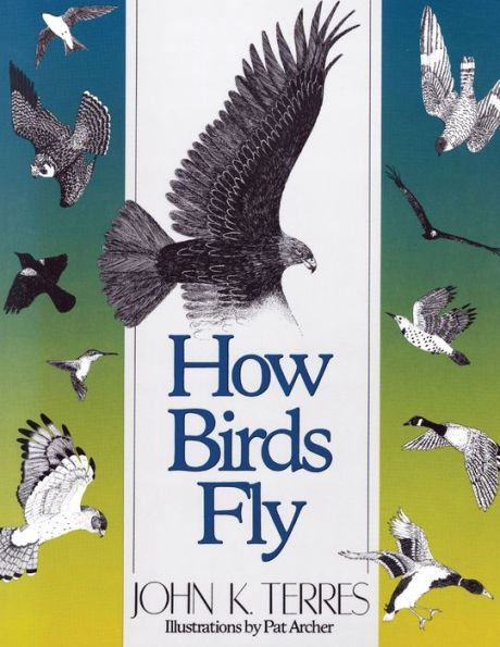 How Birds Fly