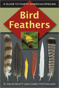 Title: Bird Feathers: A Guide to North American Species, Author: S. David Scott