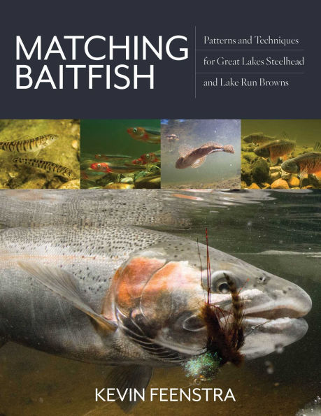 Matching Baitfish: Patterns and Techniques for Great Lakes Steelhead Lake Run Browns