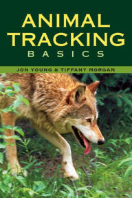Title: Animal Tracking Basics, Author: Tiffany Morgan
