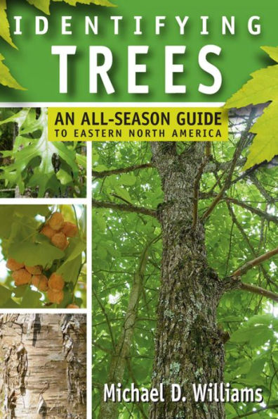 Identifying Trees: An All-Season Guide to Eastern North America