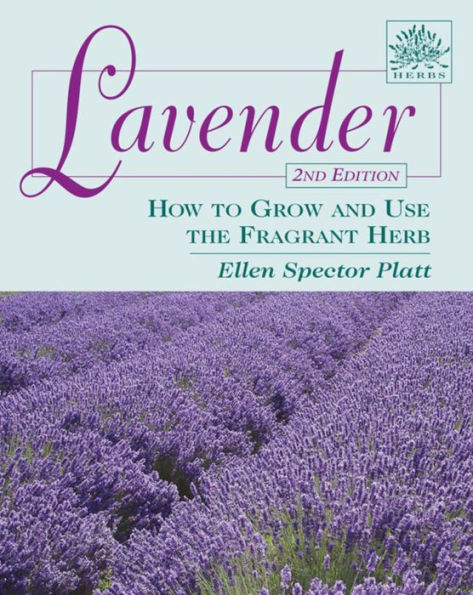 Lavender: How to Grow and Use the Fragrant Herb