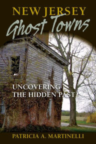 Title: New Jersey Ghost Towns: Uncovering the Hidden Past, Author: Patricia A. Martinelli