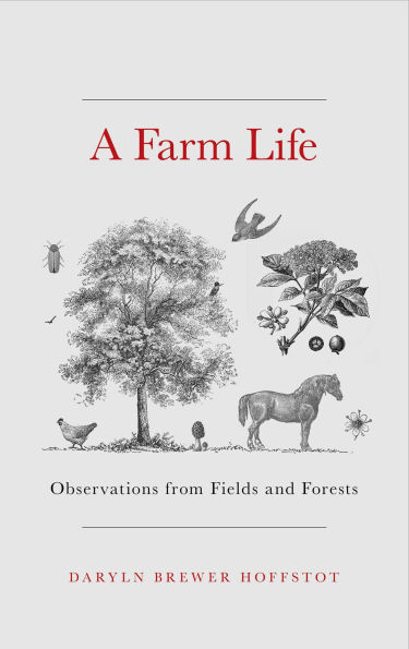Farm Life: Observations from Fields and Forests