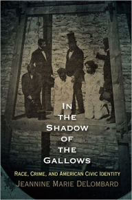 Title: In the Shadow of the Gallows: Race, Crime, and American Civic Identity, Author: Jeannine Marie DeLombard