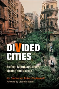Title: Divided Cities: Belfast, Beirut, Jerusalem, Mostar, and Nicosia, Author: Jon Calame
