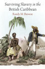 Surviving Slavery in the British Caribbean