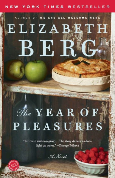 The Year of Pleasures: A Novel