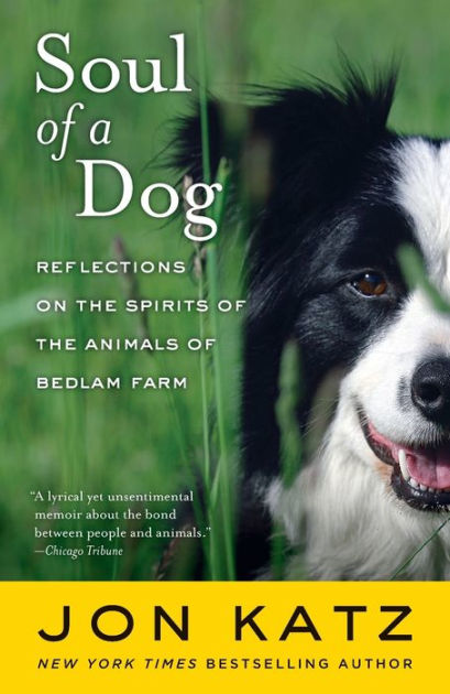 Soul of a Dog: Reflections on the Spirits of the Animals of Bedlam Farm ...