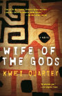 Wife of the Gods (Darko Dawson Series #1)