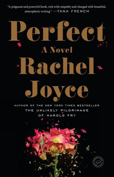 Perfect: A Novel