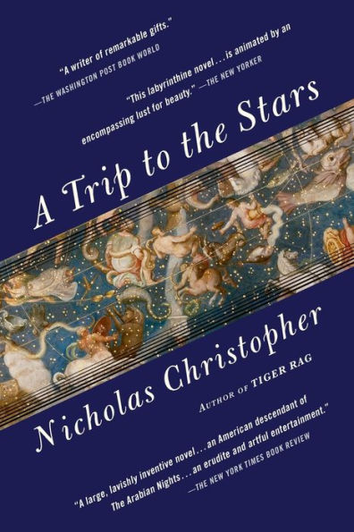 A Trip to the Stars: Novel