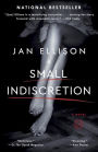 A Small Indiscretion: A Novel