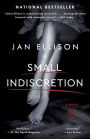 A Small Indiscretion: A Novel
