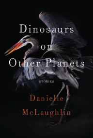 A book pdf free download Dinosaurs on Other Planets: Stories by Danielle McLaughlin (English literature) iBook PDF RTF 9780812998429