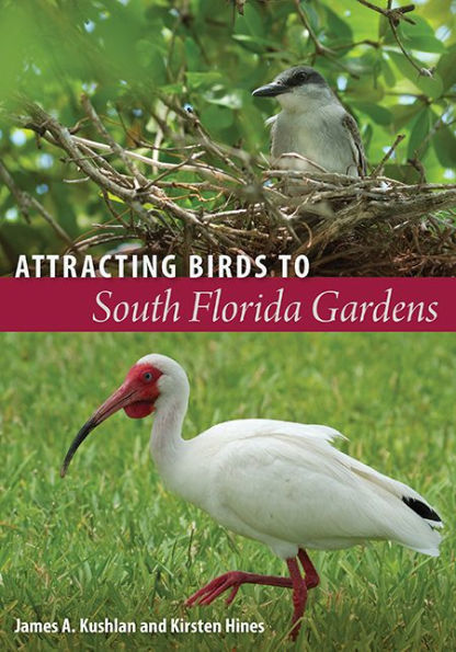 Attracting Birds to South Florida Gardens